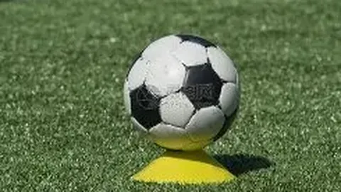 冬奥会明星“龙墩墩”回归市场，正式发售