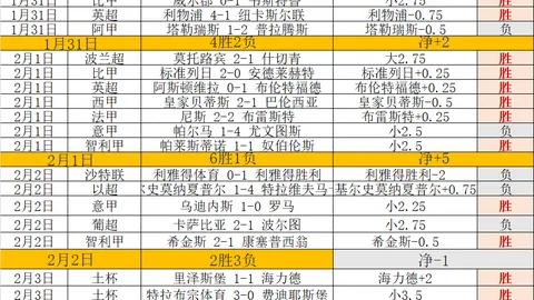 “马丁内利遗憾失帽，仅为一分钟之差与加布里埃尔齐头并进！”